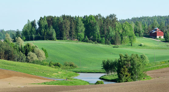 Maalaismaisema Halikosta